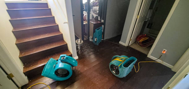 Best Water damage cleanup near me  in Glasgow, VA