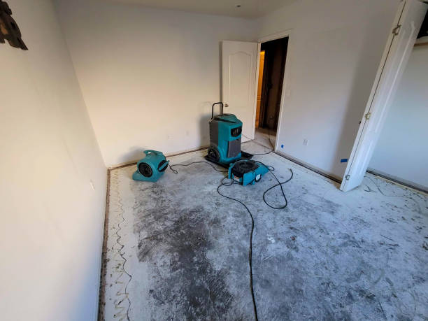 Best Water damage restoration mold remediation  in Glasgow, VA